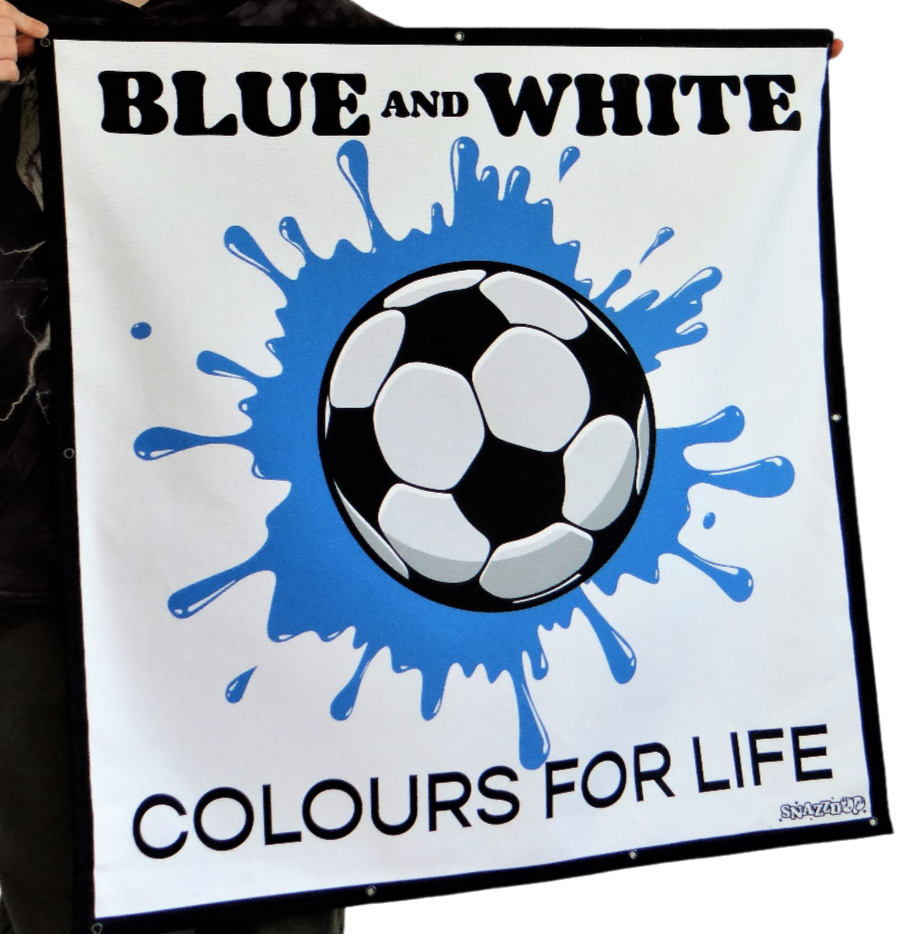 Blue & White Football Team Colours Trampoline Net Decoration