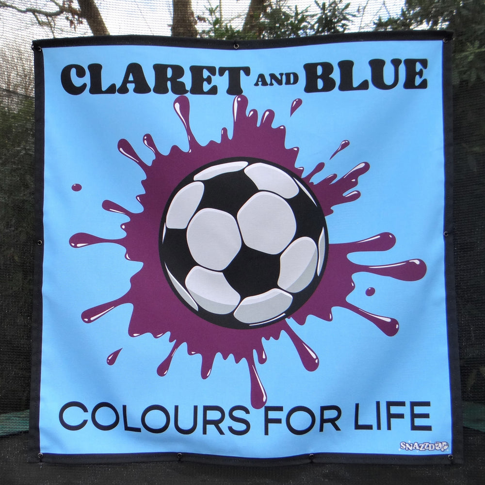 Claret & Blue Football Team Colours Trampoline Net Decoration